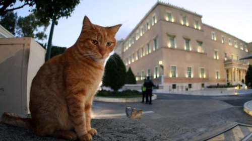 Βουλή: Ποιοι είναι οι τέσσερις βουλευτές που αποφασίστηκε η άρση της ασυλίας τους  - Τα αδικήματα