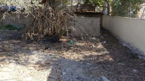 Κρήτη: Κτηνωδία! Άγνωστοι έκαψαν ζωντανό σκυλί στο σπιτάκι του!