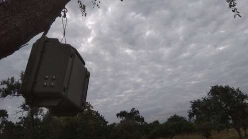 Ακουστικοί αισθητήρες τοποθετούνται σε δάσος στη Ροδόπη