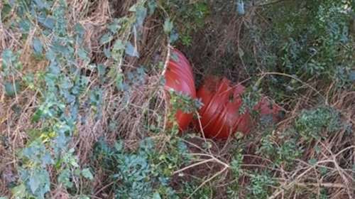Στην Κυλλήνη είχε τη φυτεία, σε βαρέλια στη Γλύφα έκρυβε την… παραγωγή