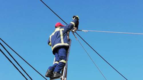 Καρέ καρέ η διάσωση της άτακτης γάτας στην Αργολίδα