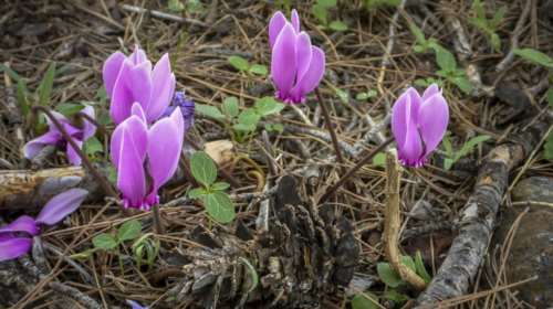 Ο καιρός την Τετάρτη: Εως 27 βαθμούς η θερμοκρασία στη χώρα