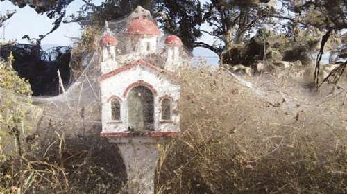 Απίστευτες φωτογραφίες: Iστοί αράχνης «κατάπιαν» την Βιστωνίδα