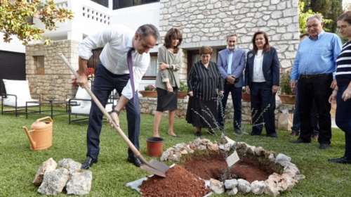 Χανιά: Γιατί φύτεψαν μια αμπελιτσιά στη μνήμη του Κωνσταντίνου Μητσοτάκη