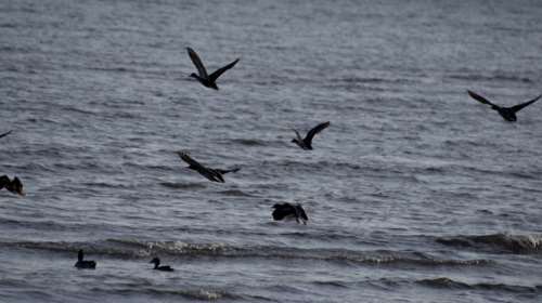 Χειμωνιάζει! Αλλάζει τελείως η εικόνα του καιρού από τη Δευτέρα
