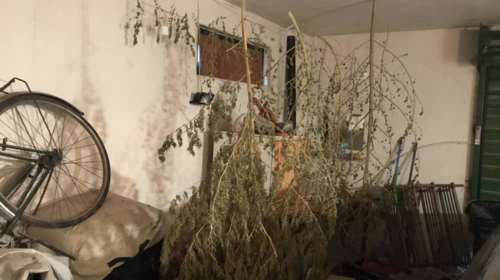 Δουλειές με... φούντες για απόστρατο και τρανσέξουαλ [φωτό]