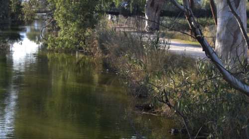 Μαντούδι: Βρέθηκε πτώμα-Εικάζεται ότι ανήκει στην αγνοούμενη