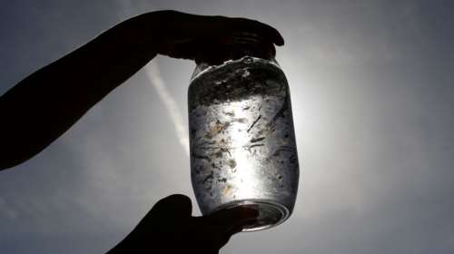 Πρώτη φορά ανιχνεύθηκαν μικροπλαστικά σε ανθρώπινο οργανισμό