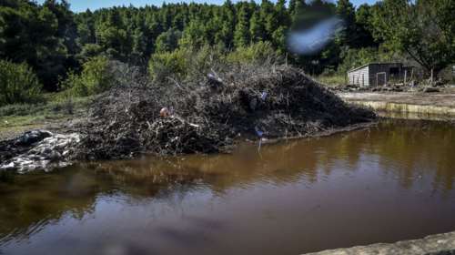 Στην αγνοούμενη από το Μαντούδι ανήκει η σορός στη Β. Εύβοια