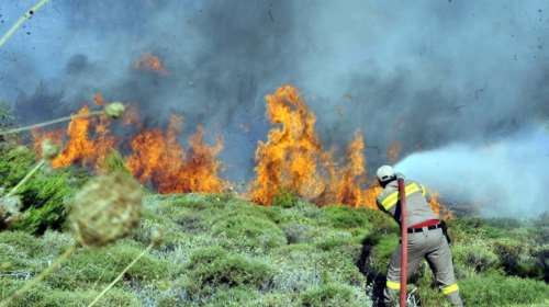Φωτιά στη Σάρτη: Επτά χιλιάδες στρέμματα η καμμένη έκταση