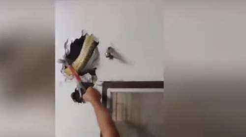 Ανατριχιαστικό: Βρήκε φίδι 5 μέτρων μέσα στο τοίχο του σπιτιού του (βίντεο)