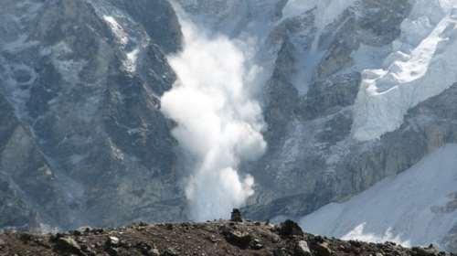 Σώθηκαν καλώντας ένα τηλέφωνο που είδαν χαραγμένο σε ένα δέντρο!