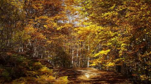 Ο καιρός την Πέμπτη: Υψηλές για την εποχή θερμοκρασίες, σκόνη και ομίχλες