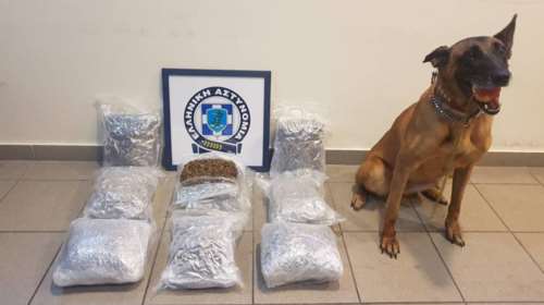 Η Bess έχει λόγους να καμαρώνει και να χαίρεται