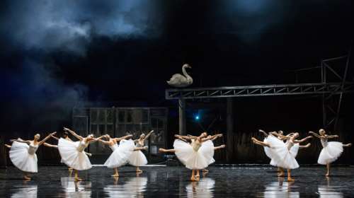 Οι εντυπωσιακές φωτογραφίες από την Λίμνη των Κύκνων