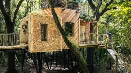 Το δεντρόσπιτο του δασανθρώπου στο Ντόρσετ της Αγγλίας (φωτό)