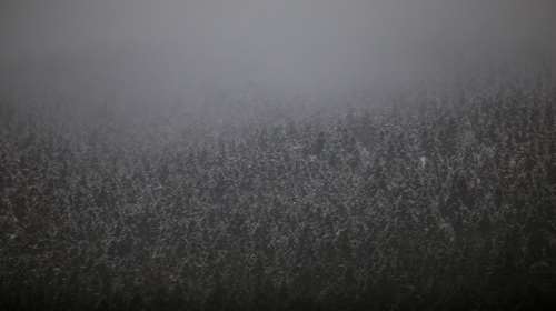 Παραμυθένιες εικόνες από το χιονισμένο Μαίναλο - Εικόνες