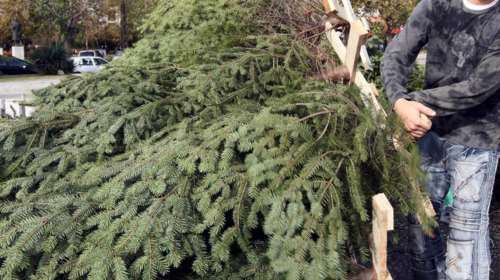 Θεσσαλονίκη: Κανένα Χριστουγεννιάτικο Δέντρο σε ΧΥΤΑ