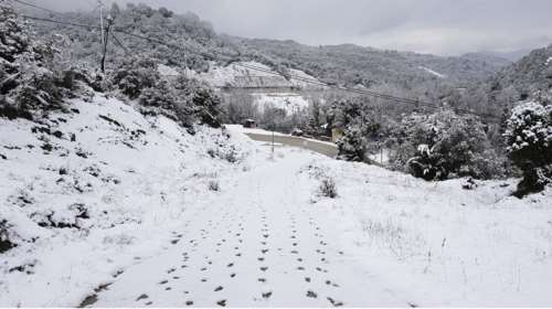 Στους 70 πόντους το χιόνι στα ορεινά των Τρικάλων