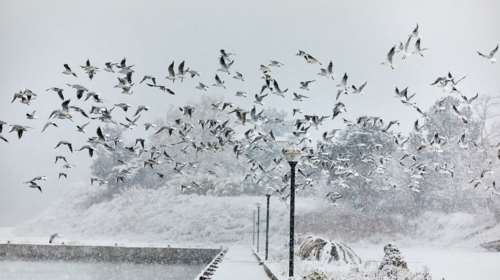 Σε κατάσταση έκτακτης ανάγκης αρκετοί δήμοι - Στα λευκά η χώρα