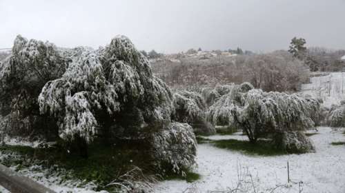 Σπάνιο φαινόμενο η χιονοκαταιγίδα που "χτύπησε" στο Ηράκλειο