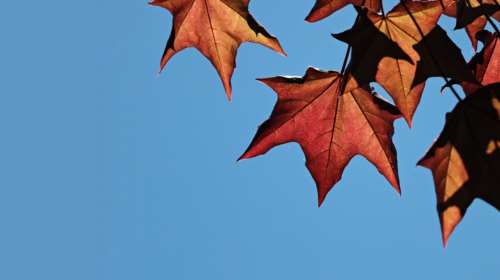 Kαλός καιρός με την θερμοκρασία έως τους 15 βαθμούς