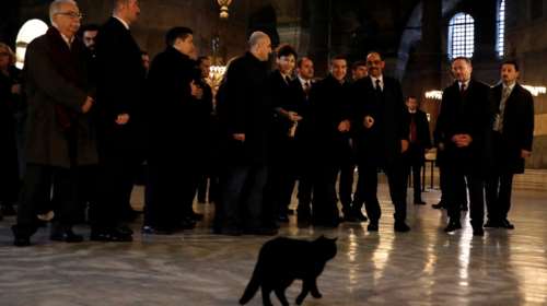 O απρόσμενος επισκέπτης που τράβηξε τα βλέμματα στην Αγιά Σοφιά