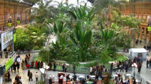 Μαδρίτη: Ένας υπέροχος κήπος στον σιδηροδρομικό σταθμό Ατότσα