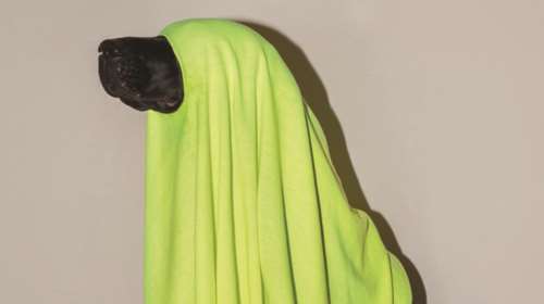 Αυτό είναι το poster του Φεστιβάλ Ντοκιμαντέρ Θεσ/κης με «ηχηρό» μήνυμα