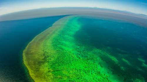 Αργοπεθαίνει ο Μεγάλος Κοραλλιογενής Ύφαλος