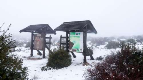 Κακοκαιρία «Χιόνη»: Νέα υποτροπή - Xιόνια στα ορεινά της Αττικής