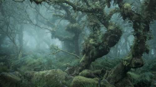 «Mystical»: Οι εντυπωσιακές φωτογραφίες του Νιλ Μπαρνέλ