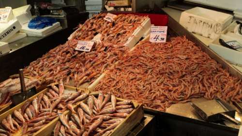 Οδηγίες ΕΦΕΤ: Πως να ψωνίσετε σωστά την Σαρακοστή