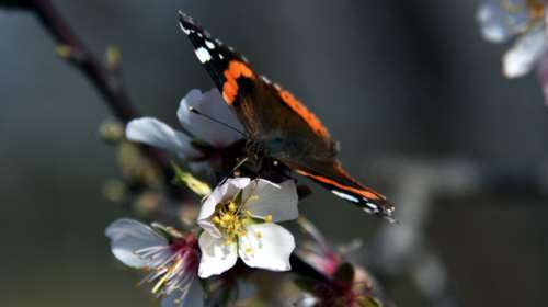 Ηλιοφάνεια με άνοδο της θερμοκρασίας σε όλη τη χώρα