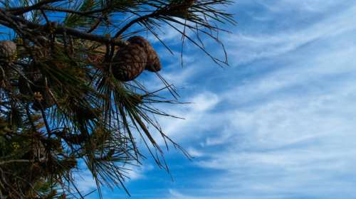 Λιακάδα και υψηλές θερμοκρασίες σε όλη τη χώρα