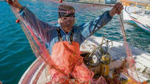 Μύρισε άνοιξη: Στους 20,4 βαθμούς η θερμοκρασία στην Αθήνα