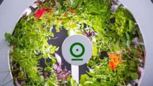 OGarden Smart: Ο λαχανόκηπος μετακόμισε στην κουζίνα