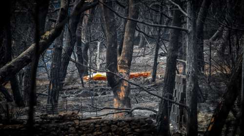 Λέκκας: Στο Μάτι υπήρξε συνολική αποτυχία της κοινωνίας