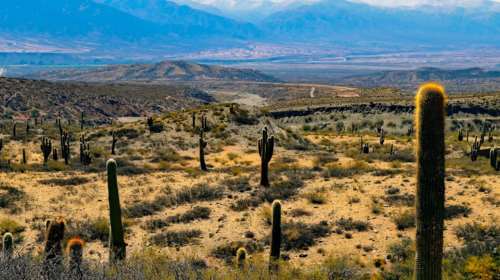 Ένας 5χρονος επέζησε για 24 ώρες σε έρημο στην Αργεντινή