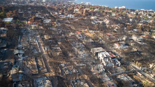 Δασικοί χάρτες: Παράταση στις πυρόπληκτες περιοχές του Ιουλίου