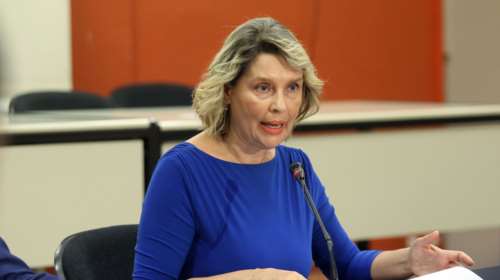 Η Παπακώστα στηρίζει Βουλγαράκη και Ορφανό για τους δήμους