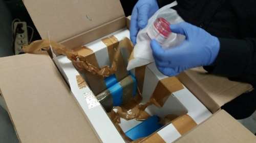 Παράνομο μόσχευμα σε βαλίτσα επιβάτη στο &quot;Μακεδονία&quot;