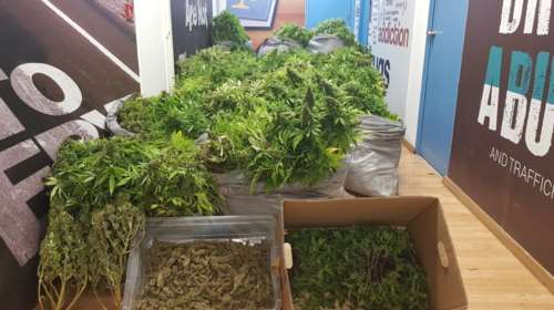 Πλήρως εξοπλισμένο εργαστήριο υδροπονικής καλλιέργειας χασίς στο Περιστέρι