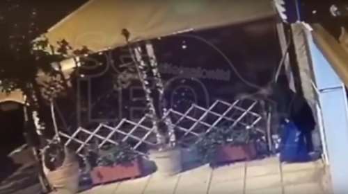 Γειτόνισσα έκλεψε τη μέντα κα το γιασεμί από τις γλάστρες καταστήματος