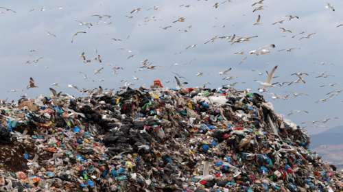 Θεσσαλονίκη: Επείγουσα εισαγγελική έρευνα για ραδιενεργά απόβλητα από νοσοκομεία που καταλήγουν στον ΧΥΤΑ