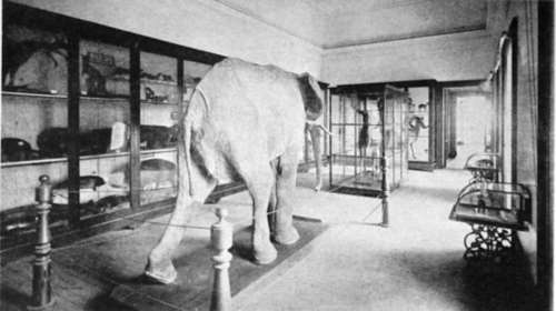 Κοσμήματα της παγκόσμιας κληρονομιάς που καταστράφηκαν από πυρκαγιές