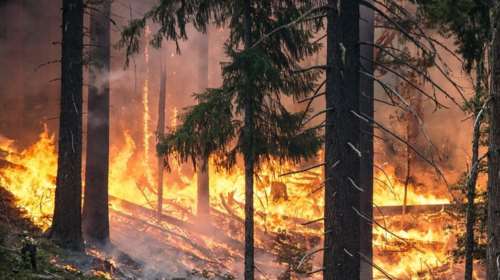 Ιταλία: 27 εκατ. ευρώ πρόστιμο σε φοιτητές για εμπρησμό από αμέλεια