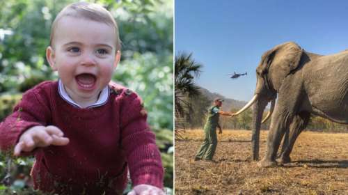 Ο κρυφός πόλεμος του Χάρι και της Κέιτ Μίντλετον