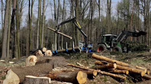 Βιοποικιλότητα: Η καταστροφή απειλέι την ευημερία μας