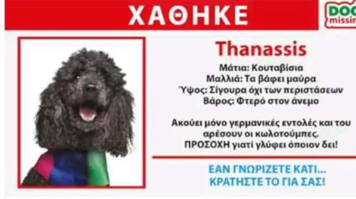 Δεύτερο σποτ των ΑΝΕΛ: Χάθηκε ο... Thanassis το κανίς (βίντεο)